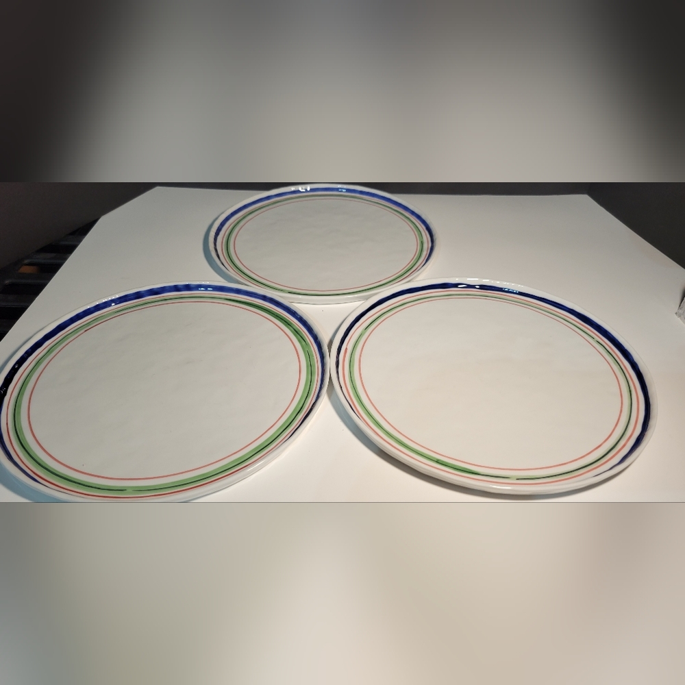 Dinner Plate Dishes Tabletop Gallery Hand Painted  Navarro Handcrafted